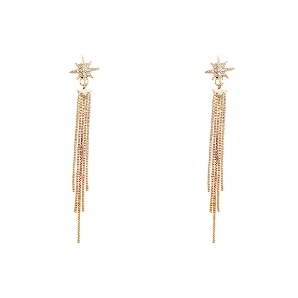 Long Tassel Earrings